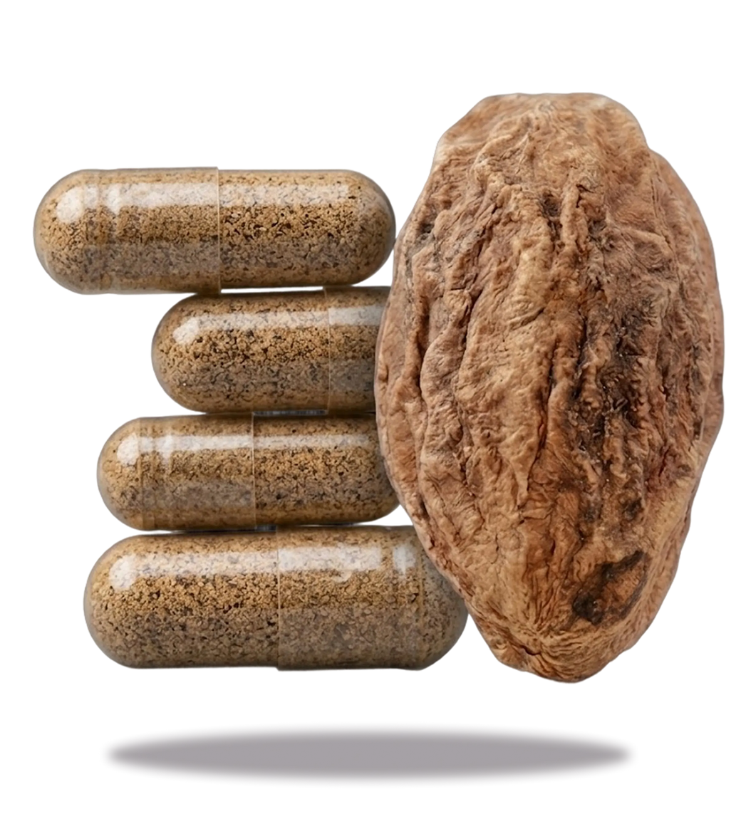 Haritaki capsules