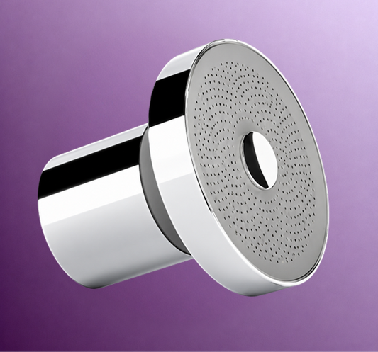 Filtered Shower Head