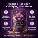 Haritaki Third Eye (60 Capsules)