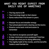 What you might expect from daily use of Haritaki: day 7, day 30, day 90 plus