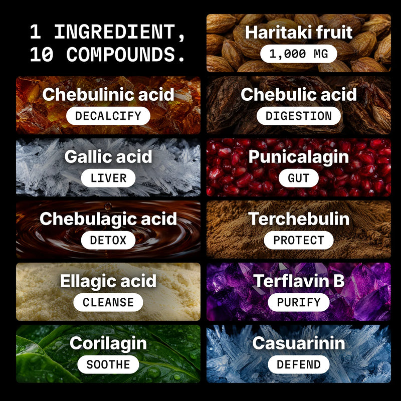 Haritaki gallery slide 6: 1 ingredient, 10 compounds, title centred (v3)