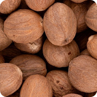 <p>Haritaki (Terminalia chebula)</p>